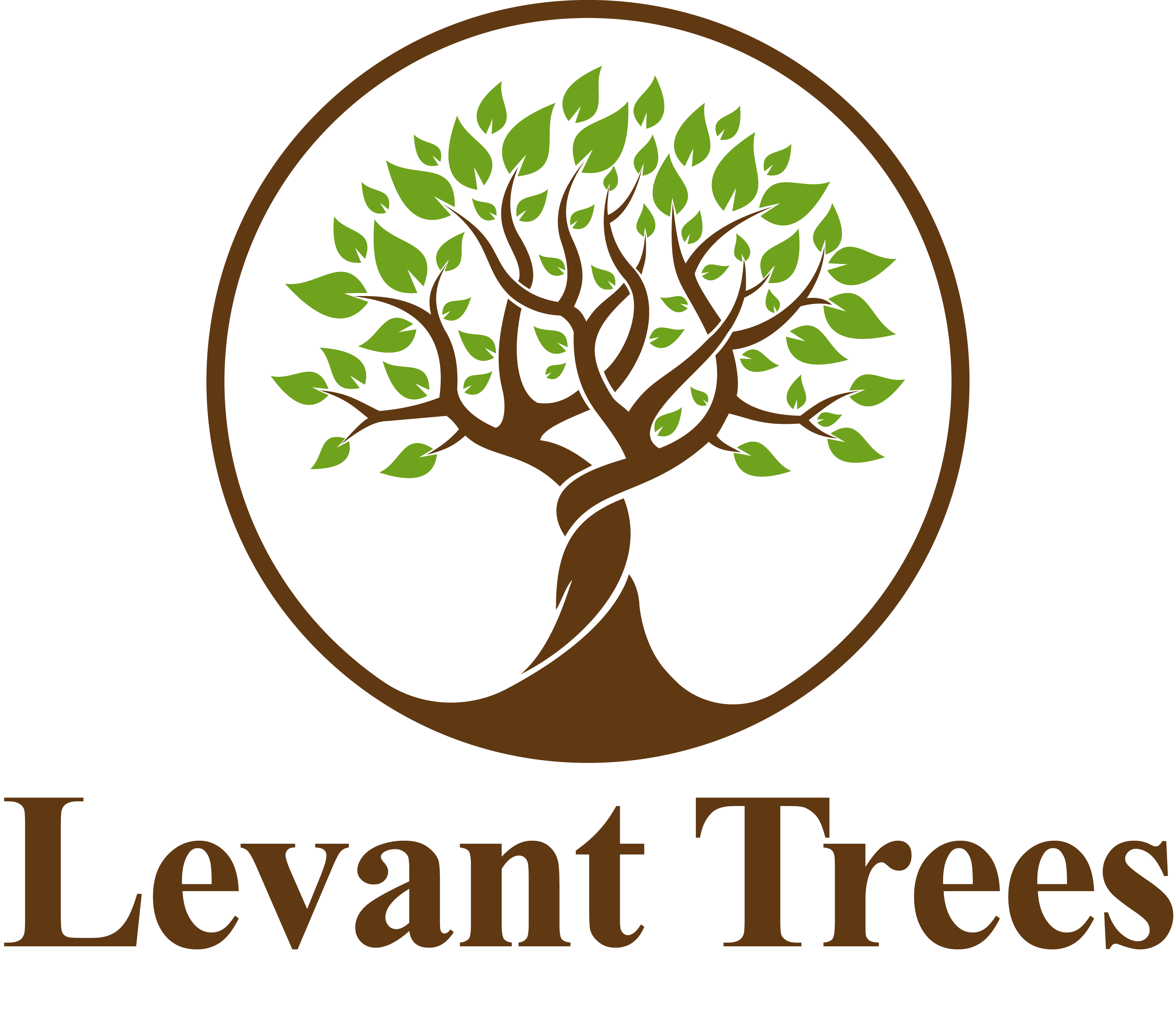 Levant Trees