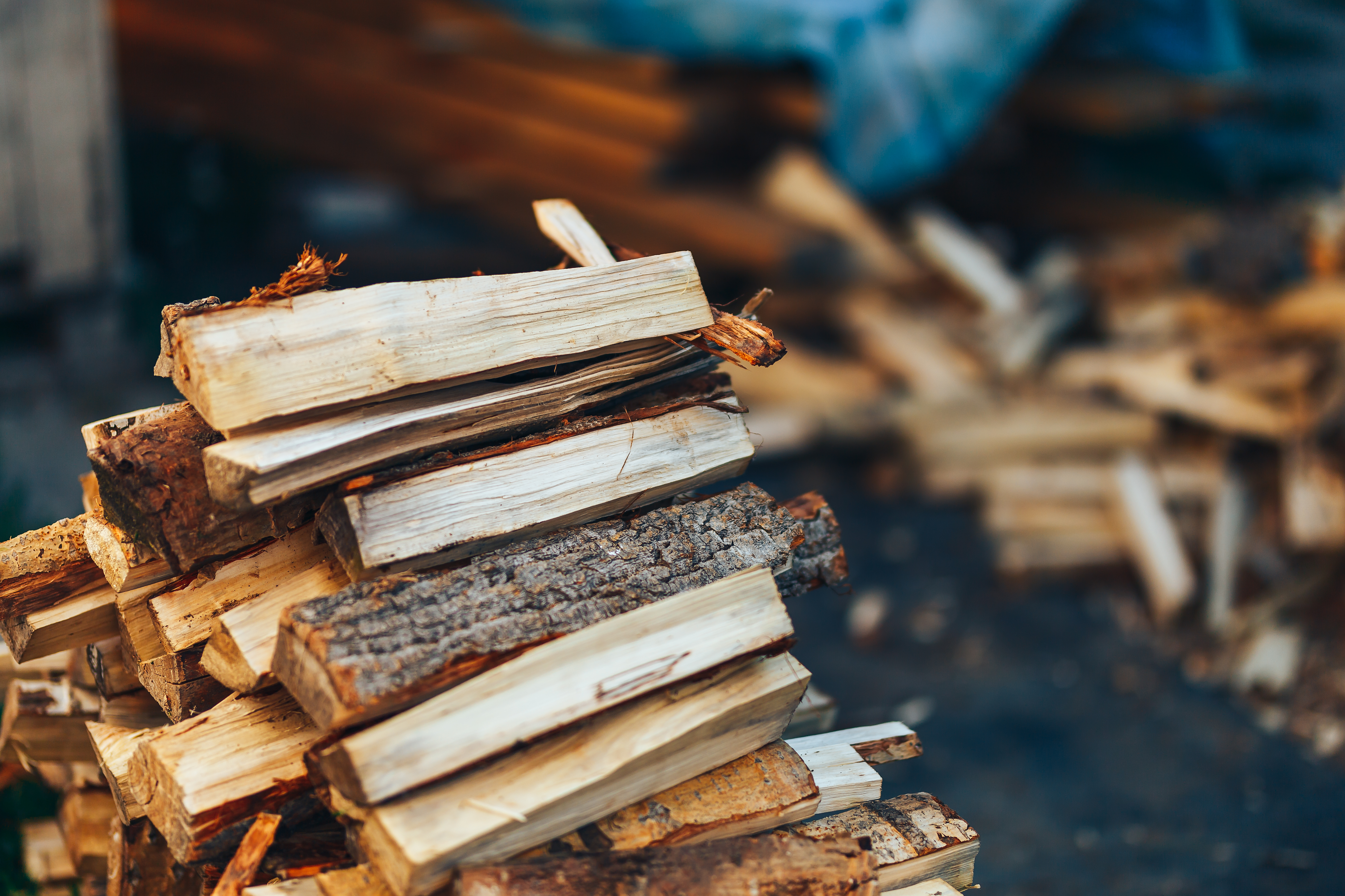 A pile of stacked firewood, prepared for heating the house. Gathering fire wood for winter or bonfire. Man holds fire wood in hands.