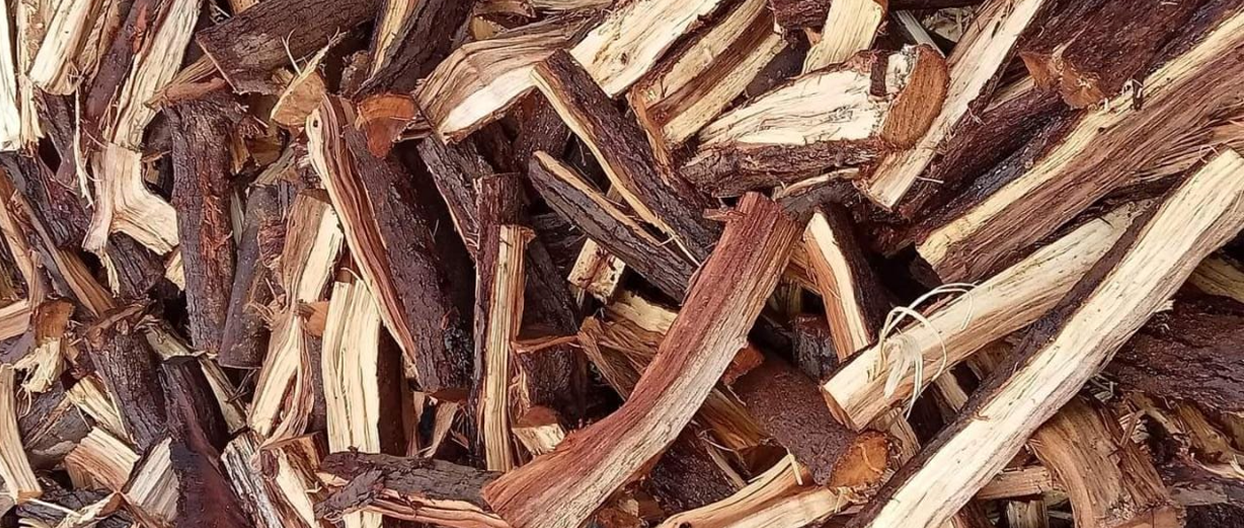 acacia_firewood