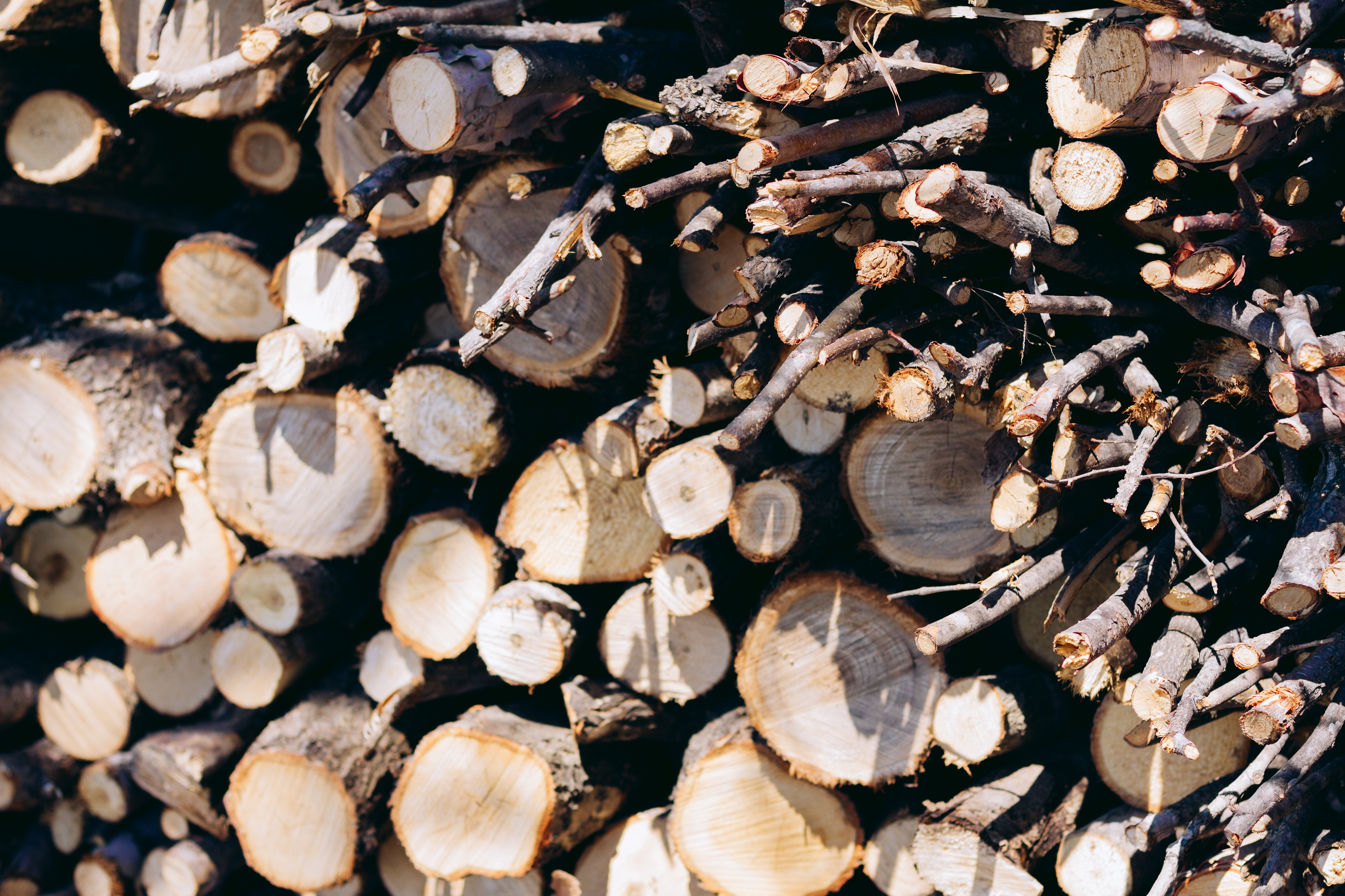 Closeup of woodpile of cut firewood logs and branches. Rustic fuel concept. Rough wooden textures of tree trunk cross sections and dark tree bark