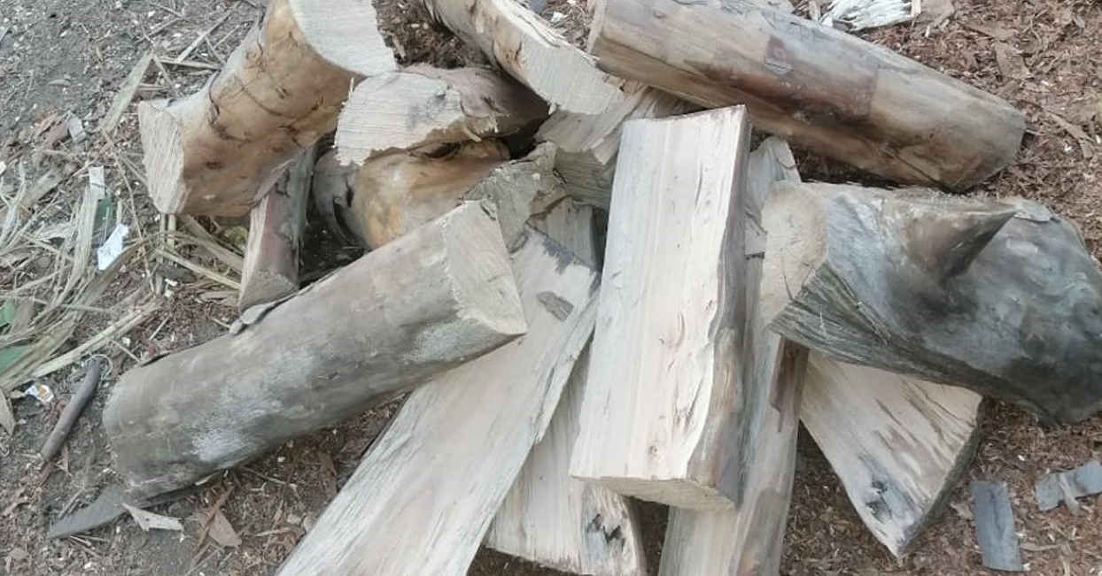 firewood-guava